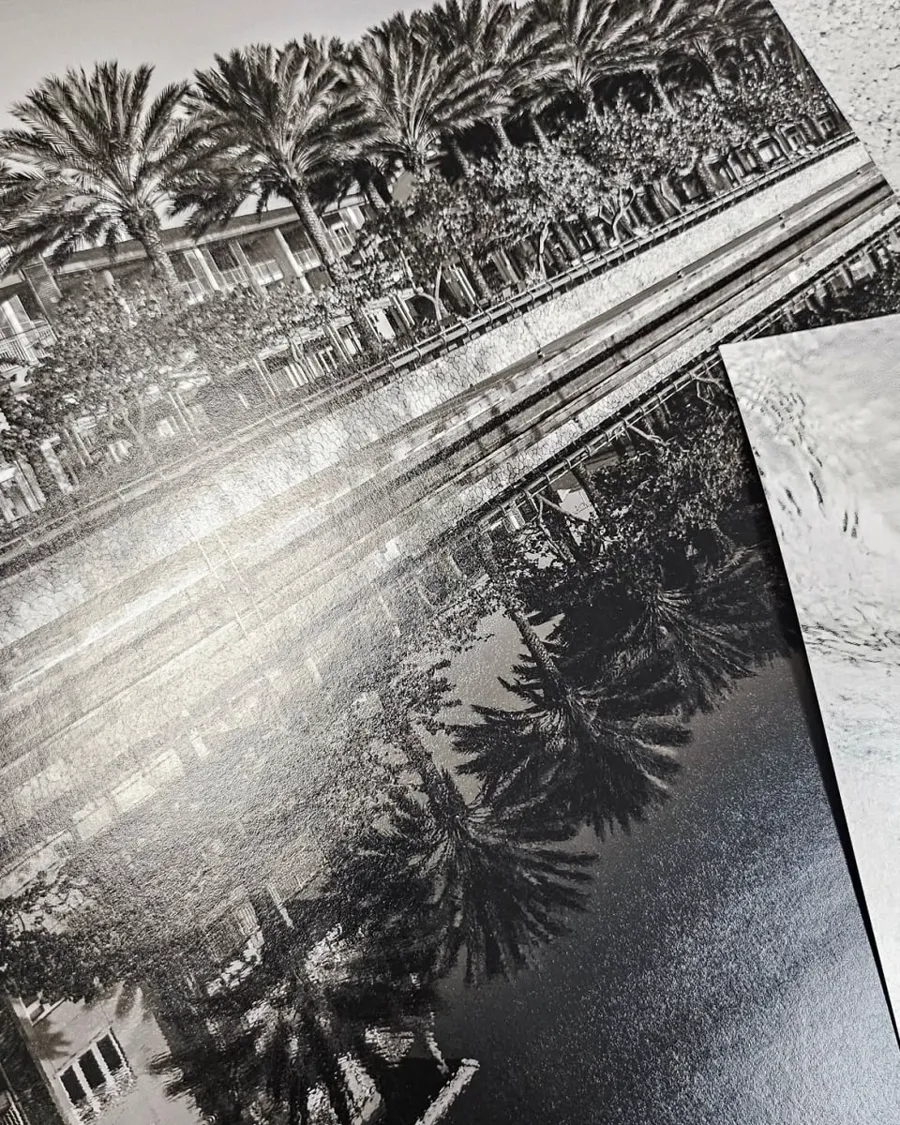 A black and white photographic print of palm trees along a waterfront.